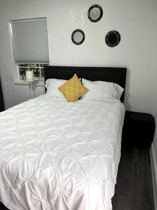 Nice And Cozy Guest House Miami Exterior photo